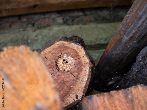 Canvas Print A hole in an old tree stump