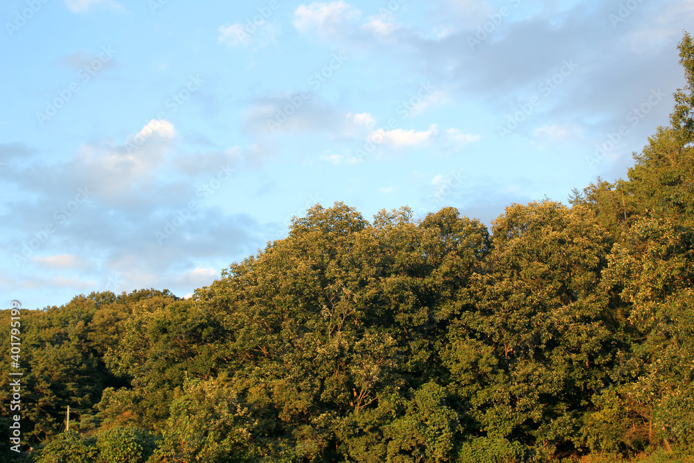 blue sky and fall mountain