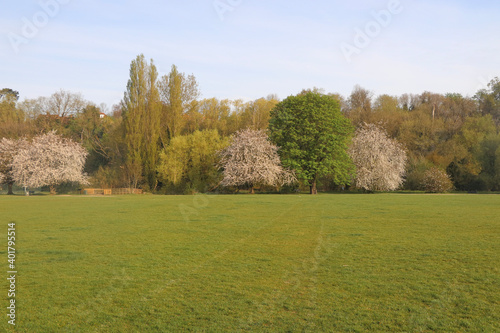 Panoramic view across a wide meadow in Spring in Hertfordshire