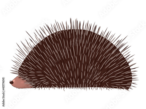 A cute hedgehog hid in the thorns. Isolated illustration.