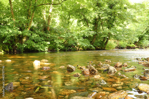 Clear waters of a Cornish stream showing the muddy brown stones underneath © Stephen