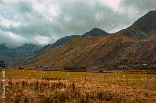 landscape in the mountains with fog