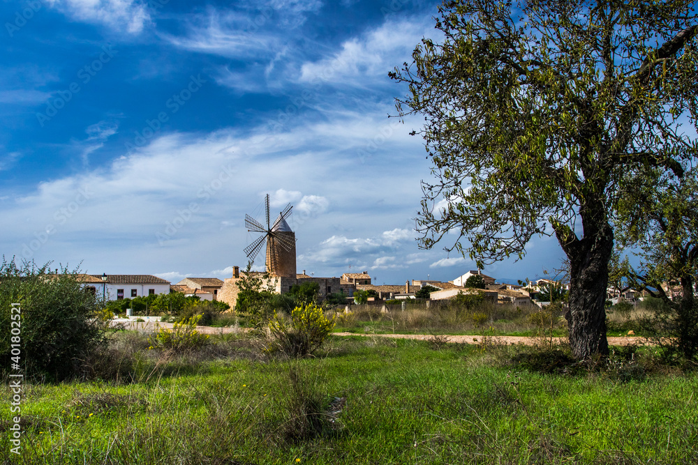 Windmühle in Algaida, Mallorca, Spanien