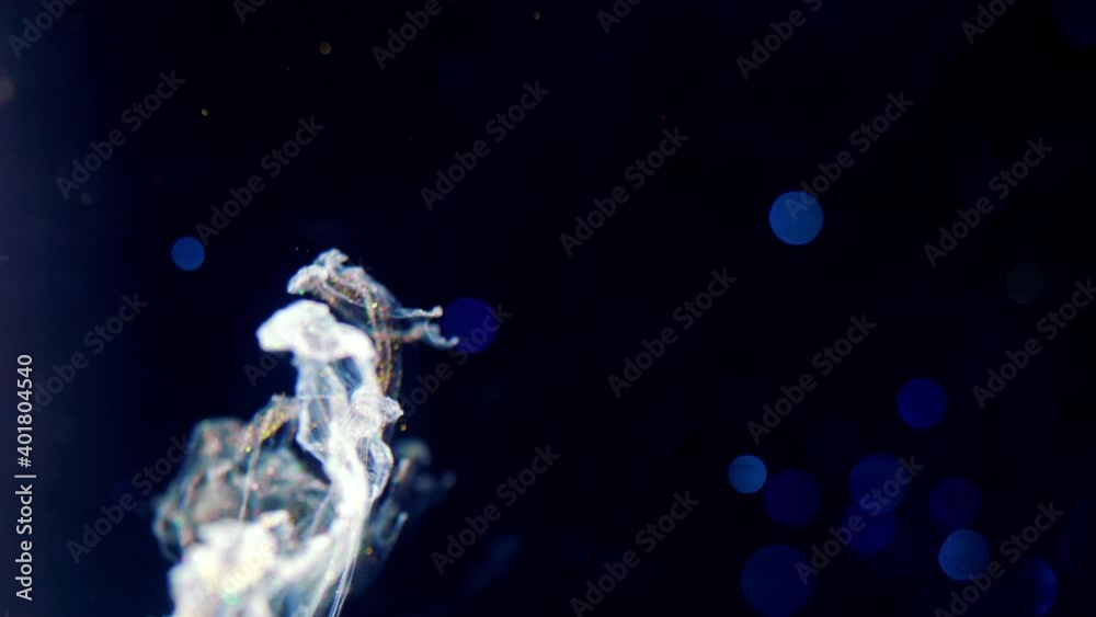 ink in water shooting with high speed camera. Paint dropped, reacting, creating abstract cloud formations and metamorphosis on black. Art backgrounds. Slow motion.