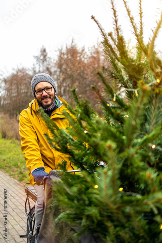 Man transporting Christmas tree on bicycle
 photo