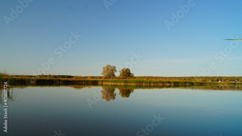 reflection of trees in water