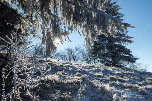 Winter sun