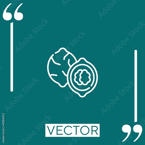 walnut vector icon Linear icon. Editable stroke line
