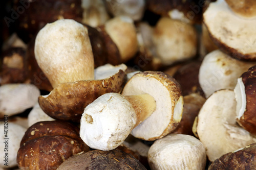 White mushrooms on the market, selective focus. Raw porcini closeup