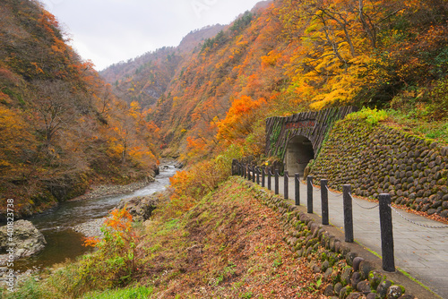 Kiyotsukyo Valley in Niigata Pref., Japan photo