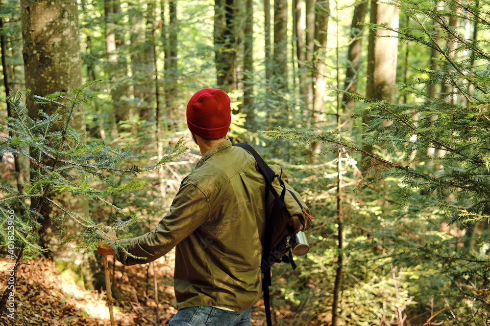 A man traveler walks through the woods. Beautiful wild nature landscape in forest. Hiking journey on tourist trail. Outdoor adventure. Travel and exploration. Healthy lifestyle, leisure activities A man traveler walks through the woods. Beautiful wild nature landscape in forest. Hiking journey on tourist trail. Outdoor adventure. Travel and exploration. Healthy lifestyle, leisure activities