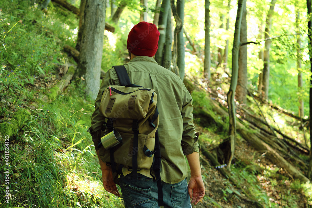 A man traveler walks through the woods. Beautiful wild nature landscape in forest. Hiking journey on tourist trail. Outdoor adventure. Travel and exploration. Healthy lifestyle, leisure activities