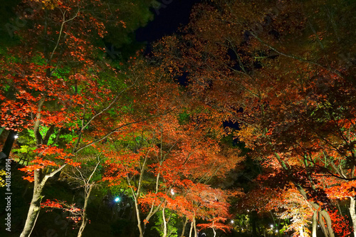 Japanese Garden at Kashiwazaki City in Niigata Pref., Japan photo