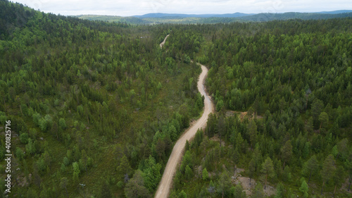 An aerial view of a winding and curvy road in the hillside surrounded with green forest. 