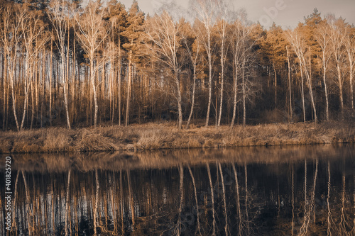 Landscape. Reflection of trees in the water. Landscape. Deep waters of the blue lake surrounded by winter forest. Trees above the water