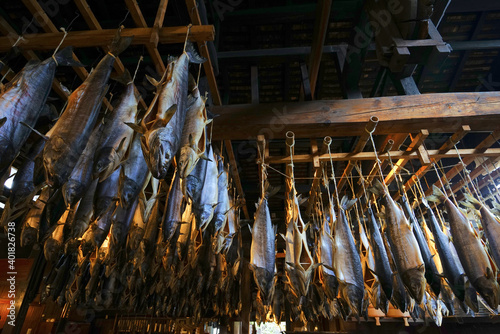 salted salmon in Murakami City, Niigata Pref., Japan photo