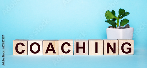 The word COACHING is written on wooden cubes near a flower in a pot on a light blue background
