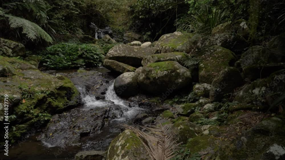 Mountain Stream With Clean Water Flowing On Rocks Covered In Moss - Lamington National Park, Gold Coast, Australia. - wide shot Mountain Stream With Clean Water Flowing On Rocks Covered In Moss - Lamington National Park, Gold Coast, Australia. - wide shot