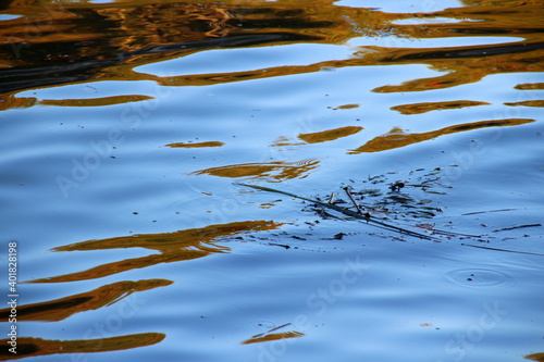 Abstract - dry branch on the river, among the reflected colors of the surrounding nature