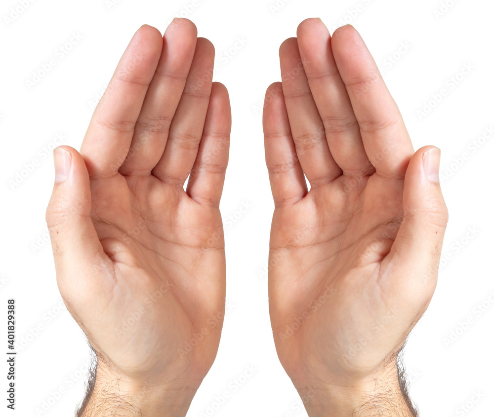 Male empty cupped hands isolated on white background Male empty cupped hands isolated on white background