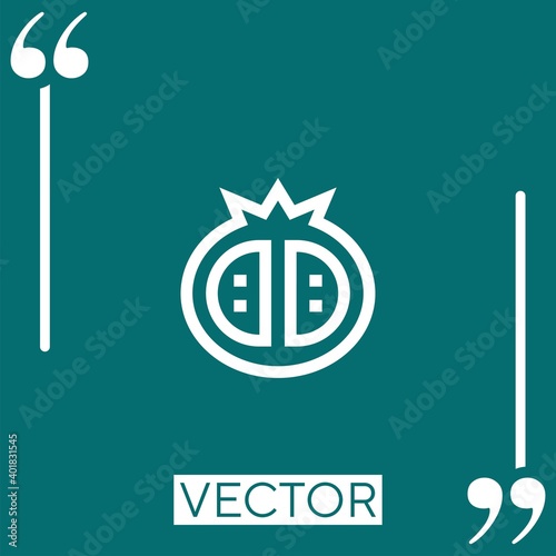 pomegranate vector icon Linear icon. Editable stroked line