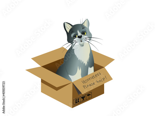The poor unfortunate lonely kitten is crying bitterly while sitting in a cardboard box with the inscription Homeless. Please help. Vector illustration to help homeless animals.