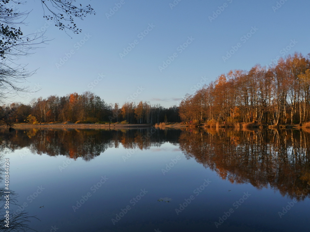 Obraz premium blue sky yellow trees reflected in river beautiful autumn landscape