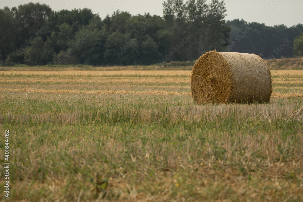 ein einsamer Strohballen auf dem Feld