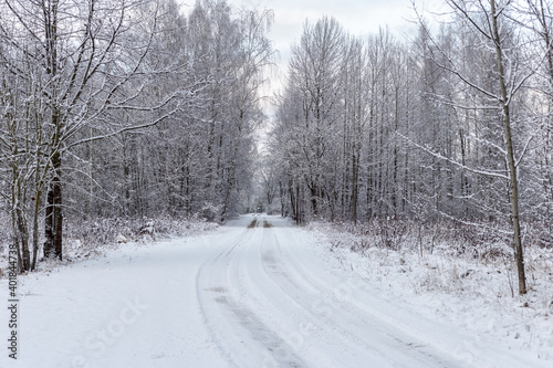 Forest road in snowy winter beautiful lanscape © Photo by ERIKS ROZE