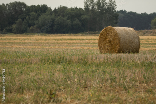 ein einsamer Strohballen auf dem Feld