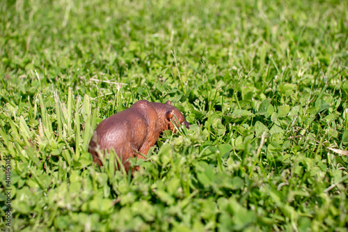 A toy plastic brown bear on a green lawn.