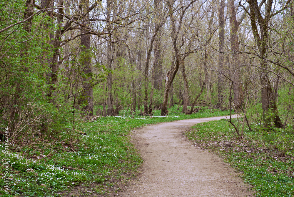 539-47 Benjamin Harrison Woods Spring Trail