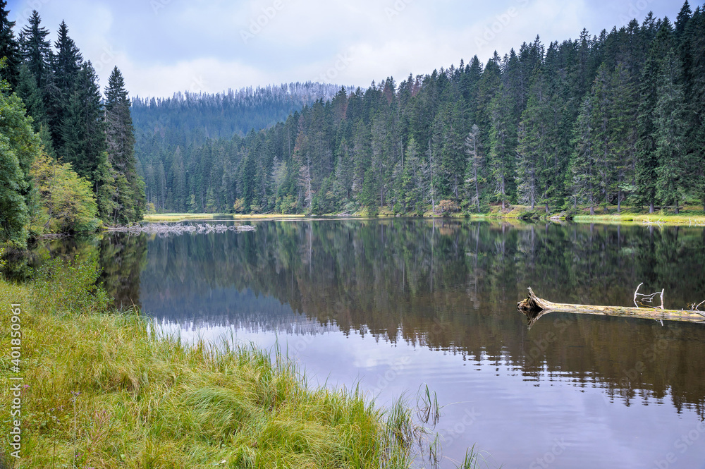 Fototapeta premium Sumava National Park, Czechia