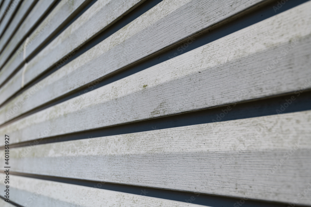 dirty vinyl siding with gross mold spots and mildew