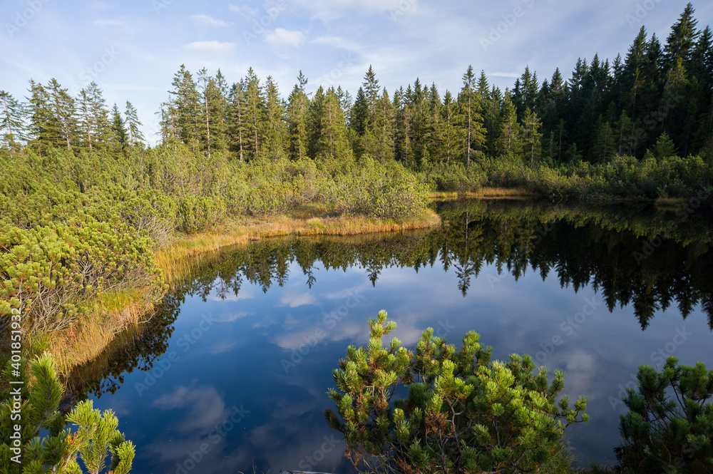 Sumava National Park, Trijezerni slat, Czechia