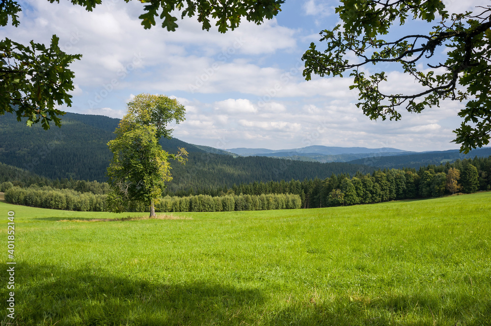 Sumava National Park, Czechia