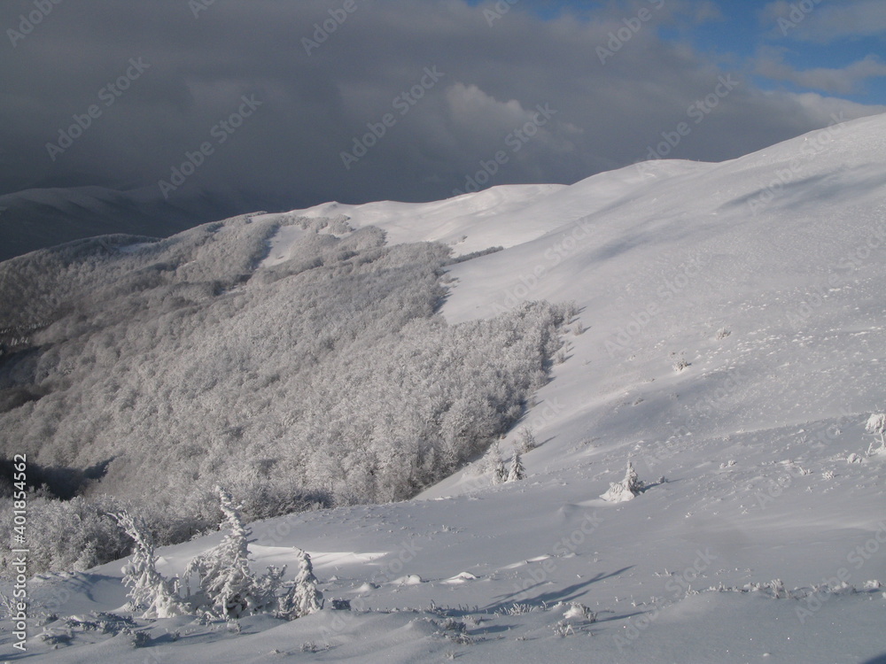 Winter mountain landscape with trees all covered with snow under blue sky with dark clouds, Bieszczady Mountains, Poland (January 2016)