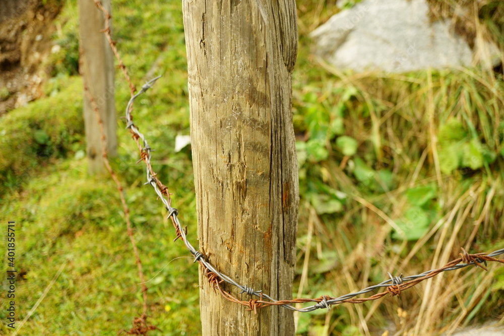 Macro photography of wooden post with protection wire for cows Macro photography of wooden post with protection wire for cows