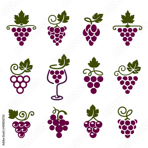 Canvas Print Set of leaves, bunch of grapes in simple flat style