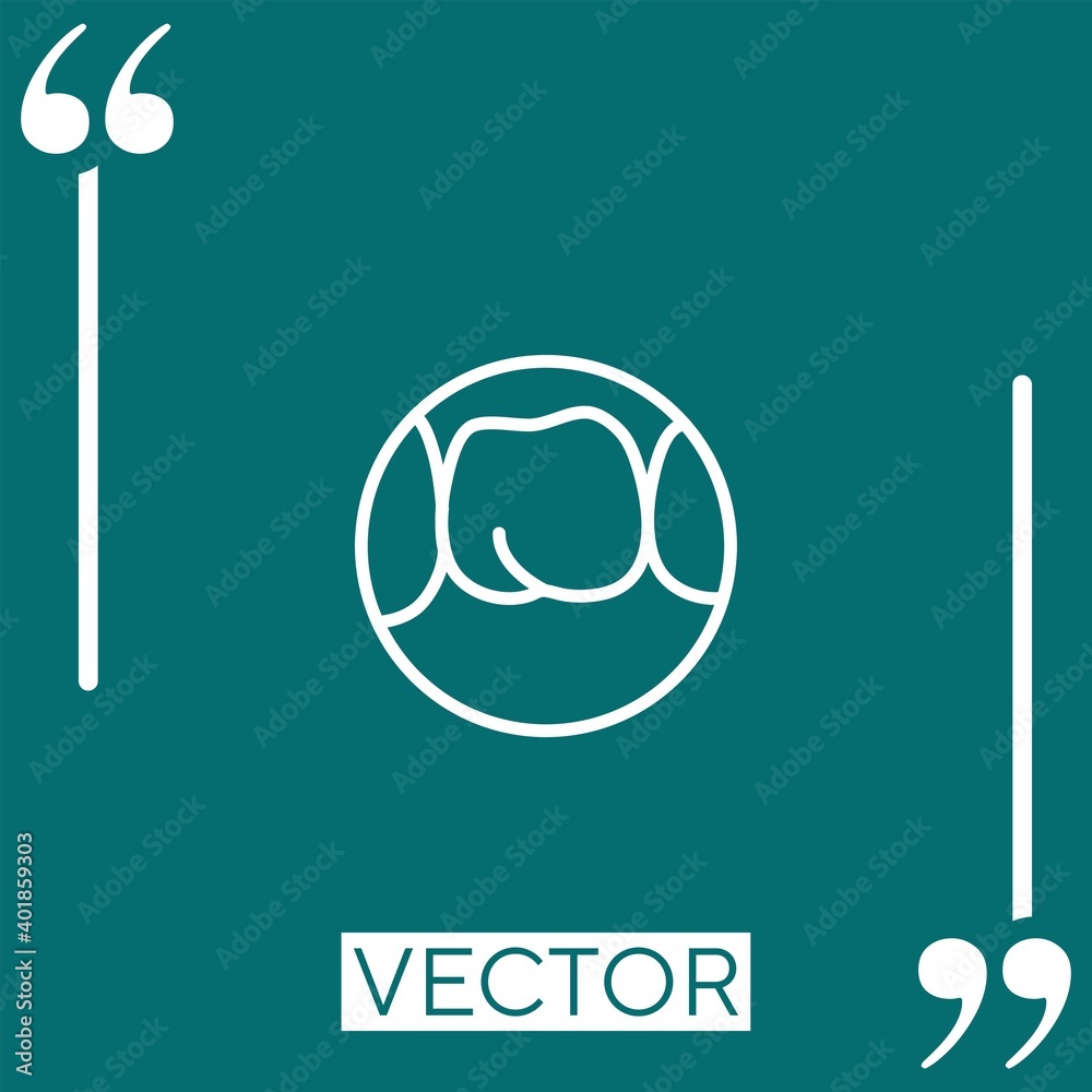 Obraz premium molar vector icon Linear icon. Editable stroke line