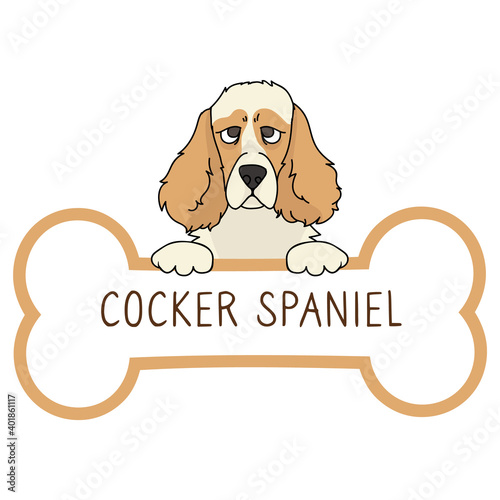 Cute cartoon Cocker Spaniel on collar dog tag vector clipart. Purebred doggy identification medal for pet id. Domestic dog for pet pooch. 