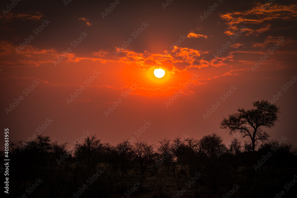 african sunset, greater kruger area, south africa