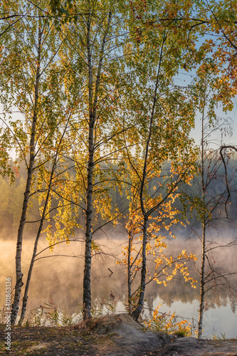 morning at foggy lake