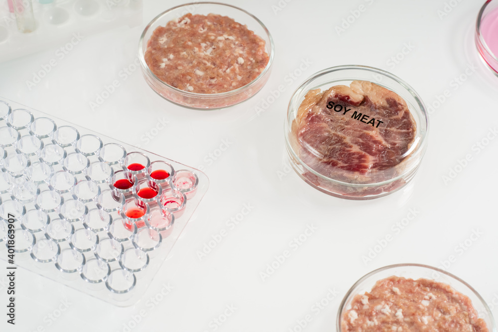 Covered petri dish containing soy meat standing between samples of animal origin Covered petri dish containing soy meat standing between samples of animal origin
