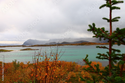 autumn in the Lofoten Islands norway