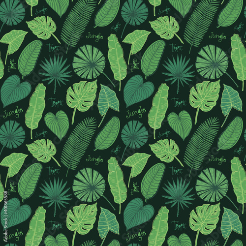 Vector seamless pattern with tropical leaves. Jungle exotic background.