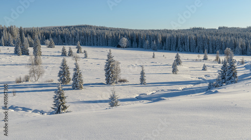 winter in Sumava National Park, Filipova Hut, Czechia