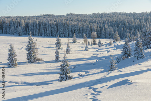 winter in Sumava National Park, Filipova Hut, Czechia