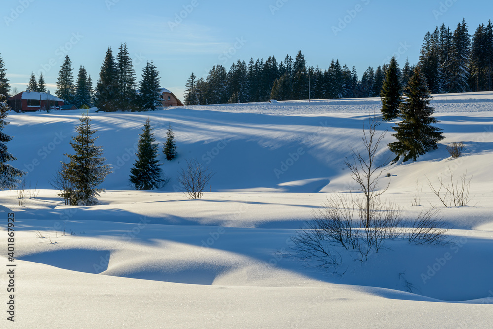 winter in Sumava National Park, Horska Kvilda village, Czechia