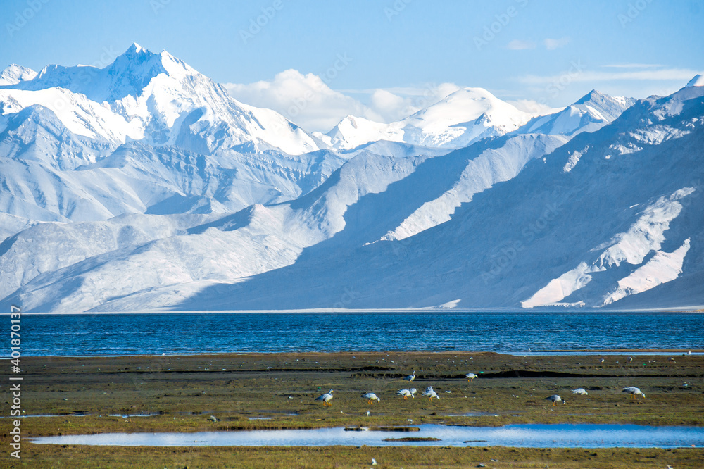 Lake Tso Moriri, Panoramas of the Himalayas, North India, Ladakh and Kashmir, Zanskar, Tibet and the Tibetan plateau, lake in the mountains